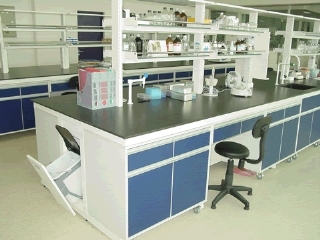 環(huán)境實(shí)驗(yàn)室設(shè)計(jì) 環(huán)境實(shí)驗(yàn)室設(shè)計(jì)